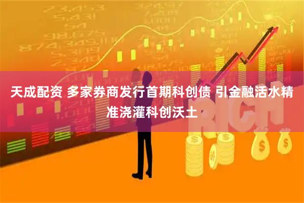 天成配资 多家券商发行首期科创债 引金融活水精准浇灌科创沃土