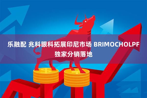 乐融配 兆科眼科拓展印尼市场 BRIMOCHOLPF独家分销落地